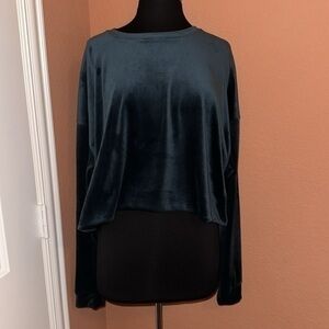 Wild Fable Velvet Long Sleeve Crop Top